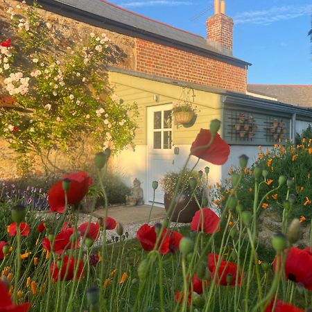 Penwyth House Bed & Breakfast New Quay Eksteriør bilde