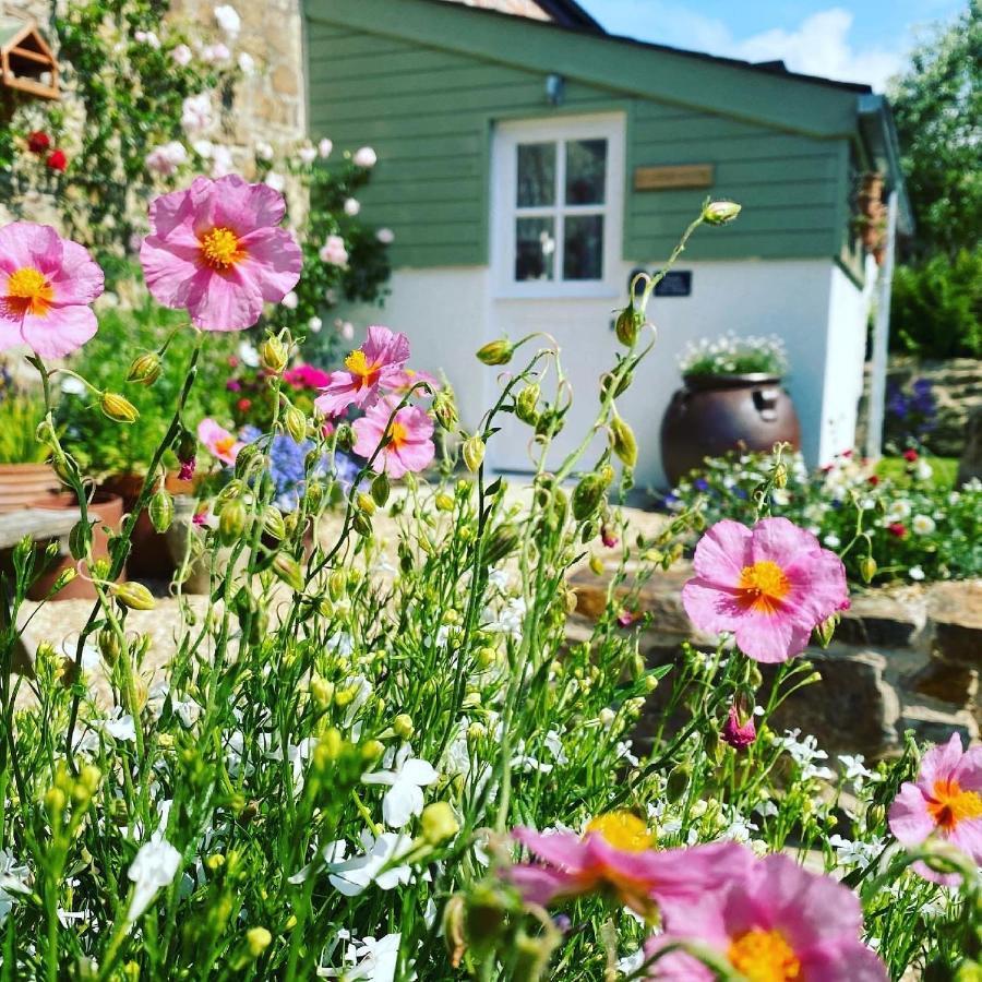 Penwyth House Bed & Breakfast New Quay Eksteriør bilde