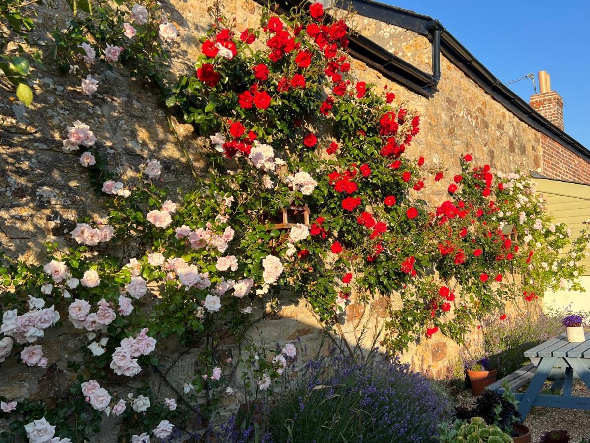 Penwyth House Bed & Breakfast New Quay Eksteriør bilde