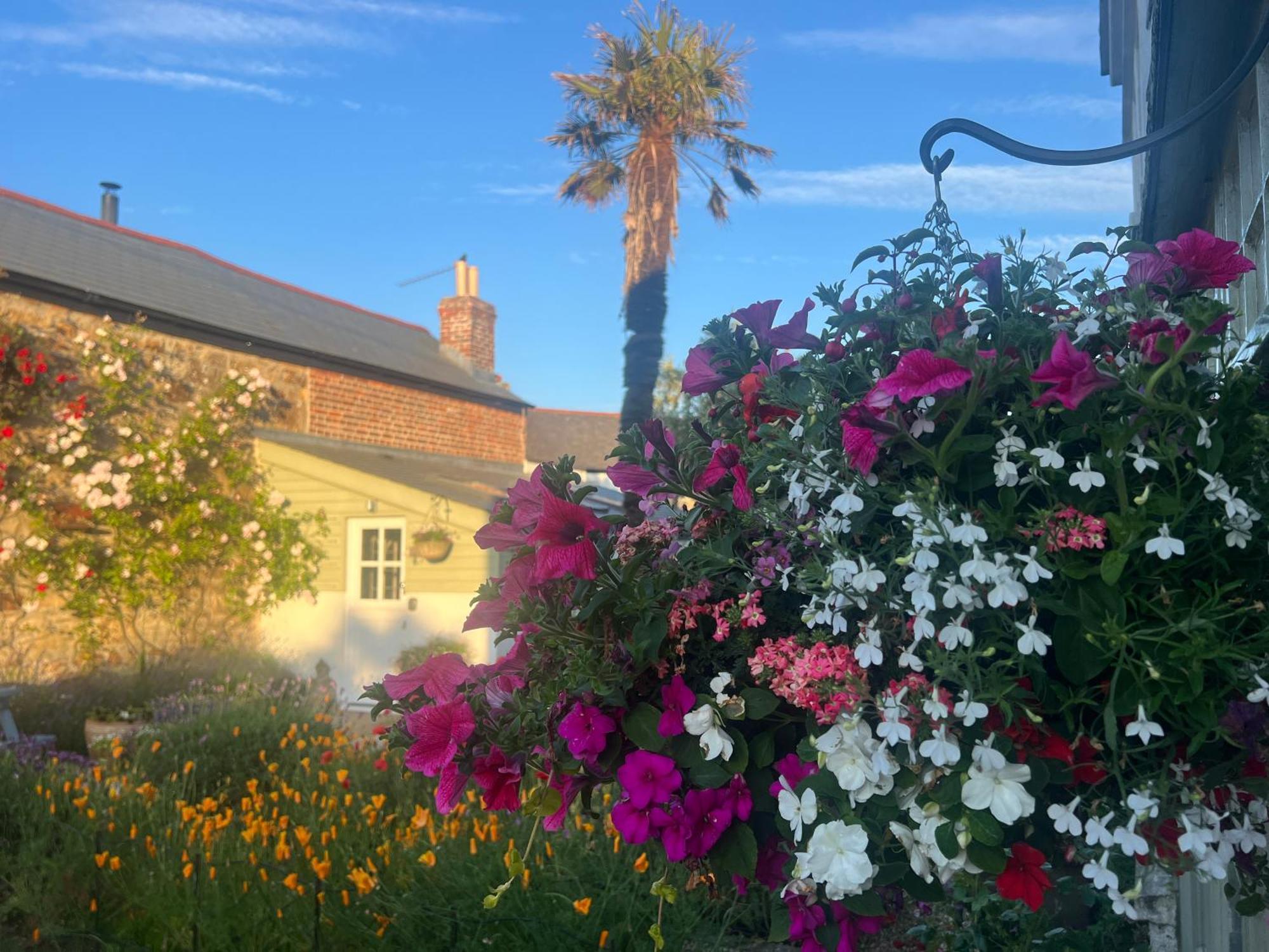 Penwyth House Bed & Breakfast New Quay Eksteriør bilde